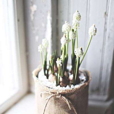 超强狙击手无敌版